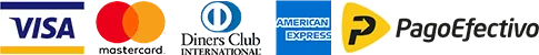 Logo Visa